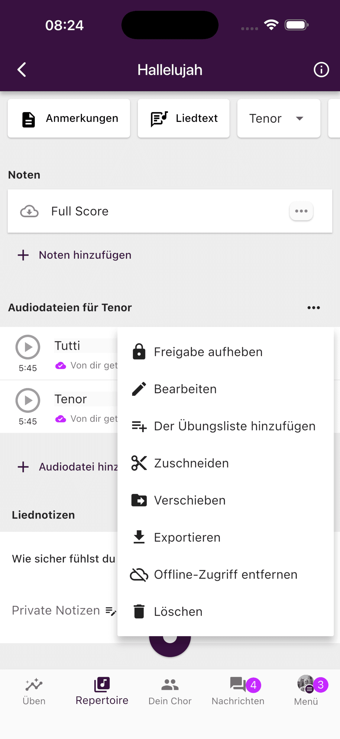Das Audiomenü mit der Option Offline-Zugriff entfernen