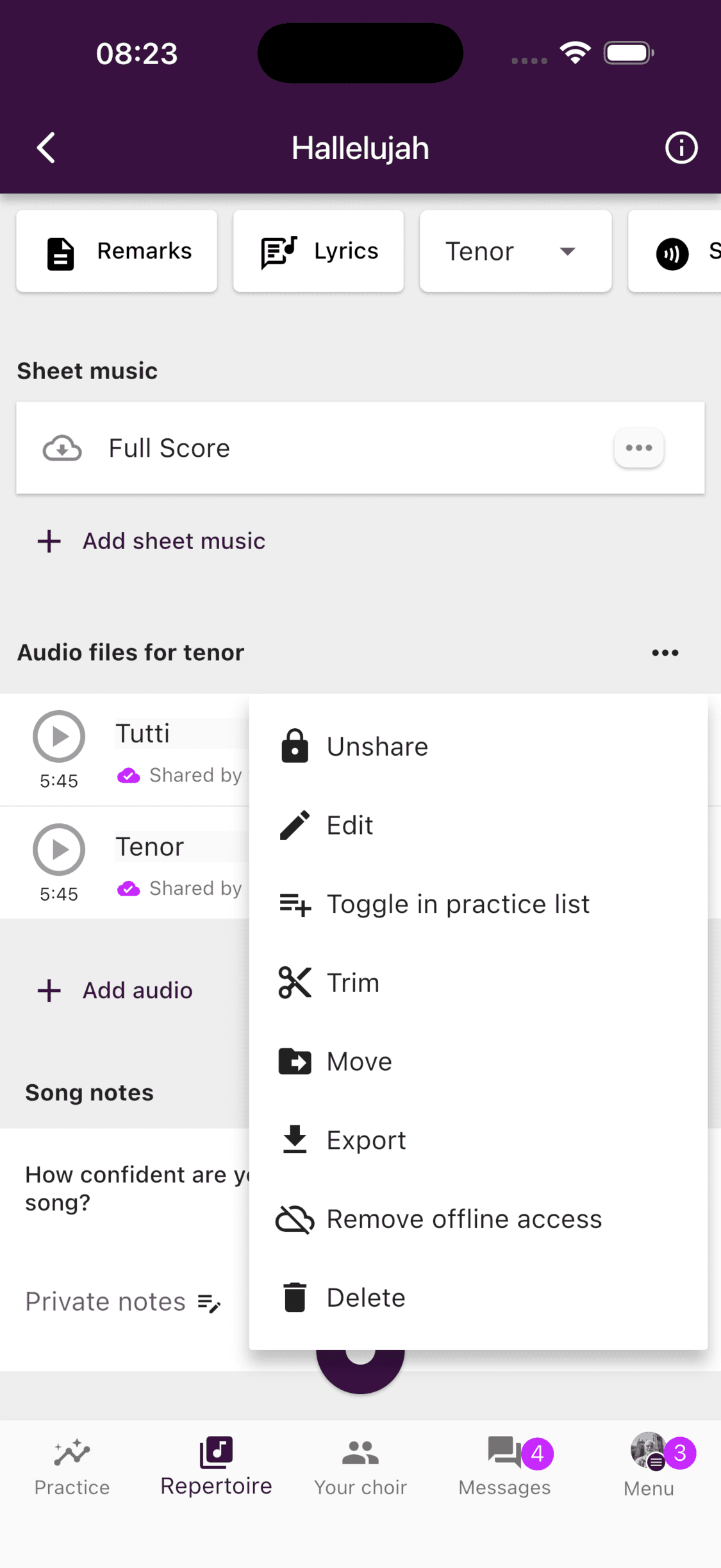 The audio menu with Remove offline access