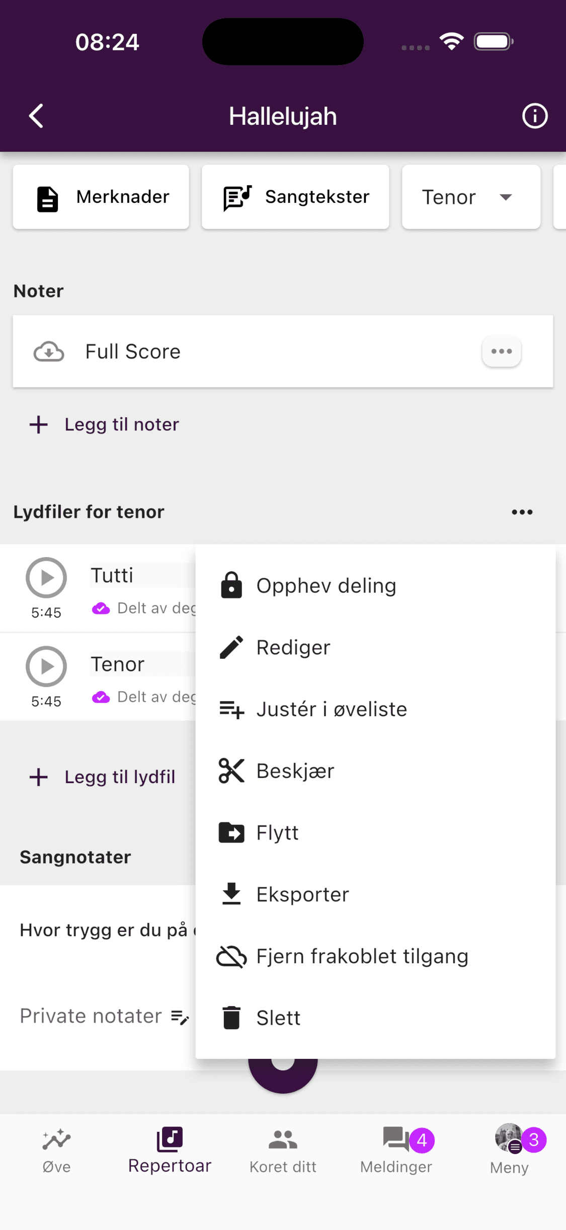 Lydmenyen med valget Fjern frakoblet tilgang